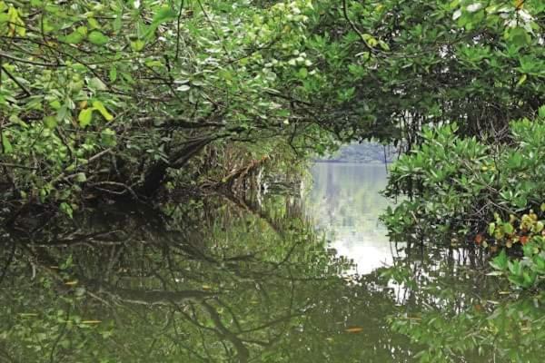 Sithu Villa Hikkaduwa Exteriör bild